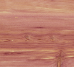 Aromatic Cedar