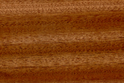 Sapele